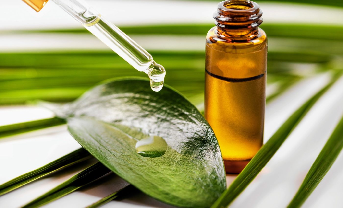 Plant extracts may help treat metabolic syndrome