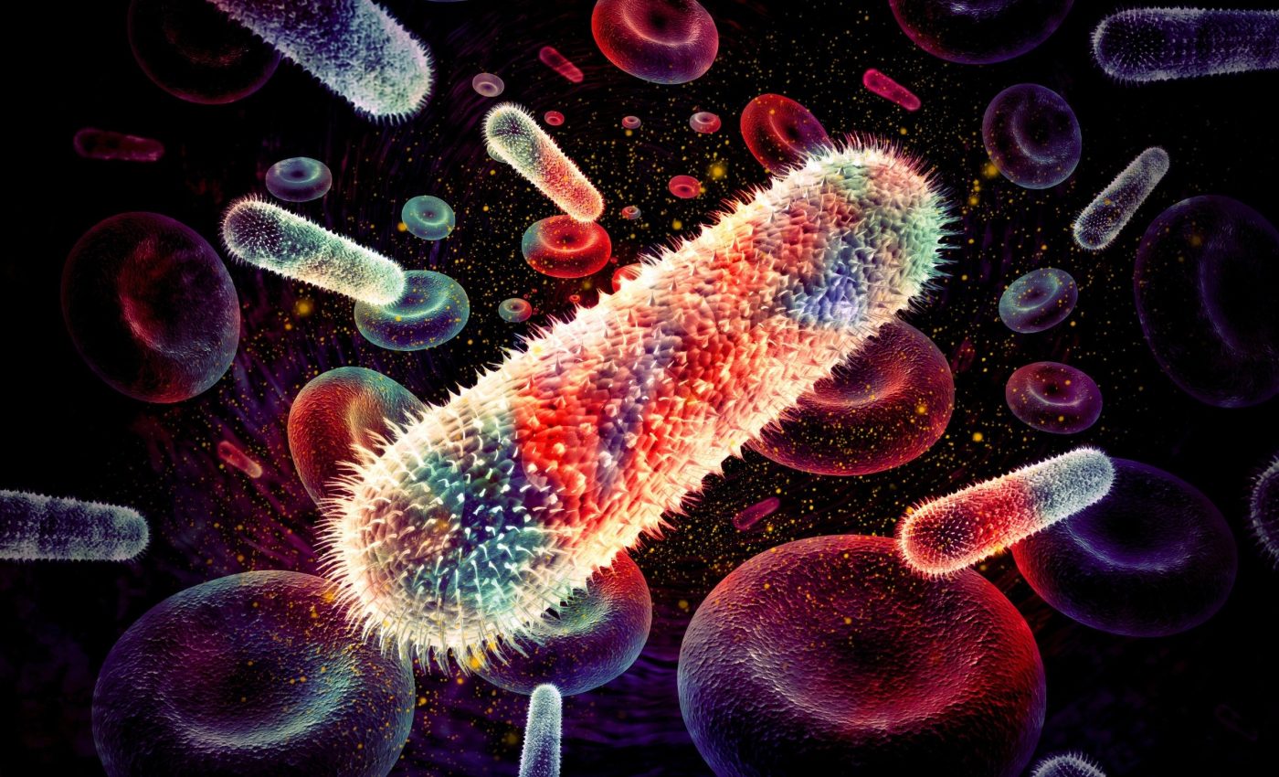 Preparing for the next pandemic: Kyoto's early-warning network