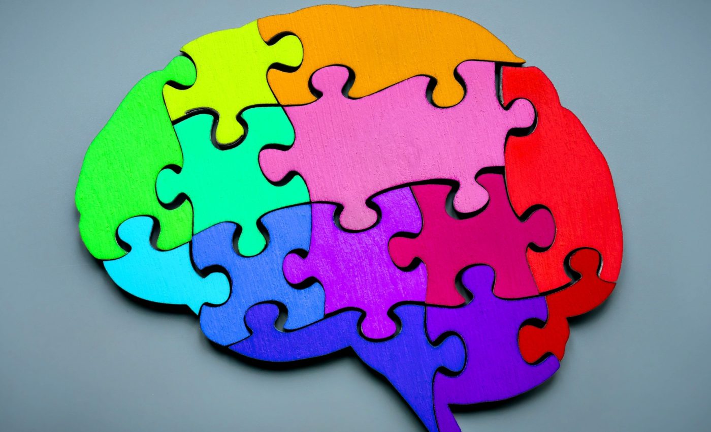 Where logic lives: Brain region responsible for reasoning revealed