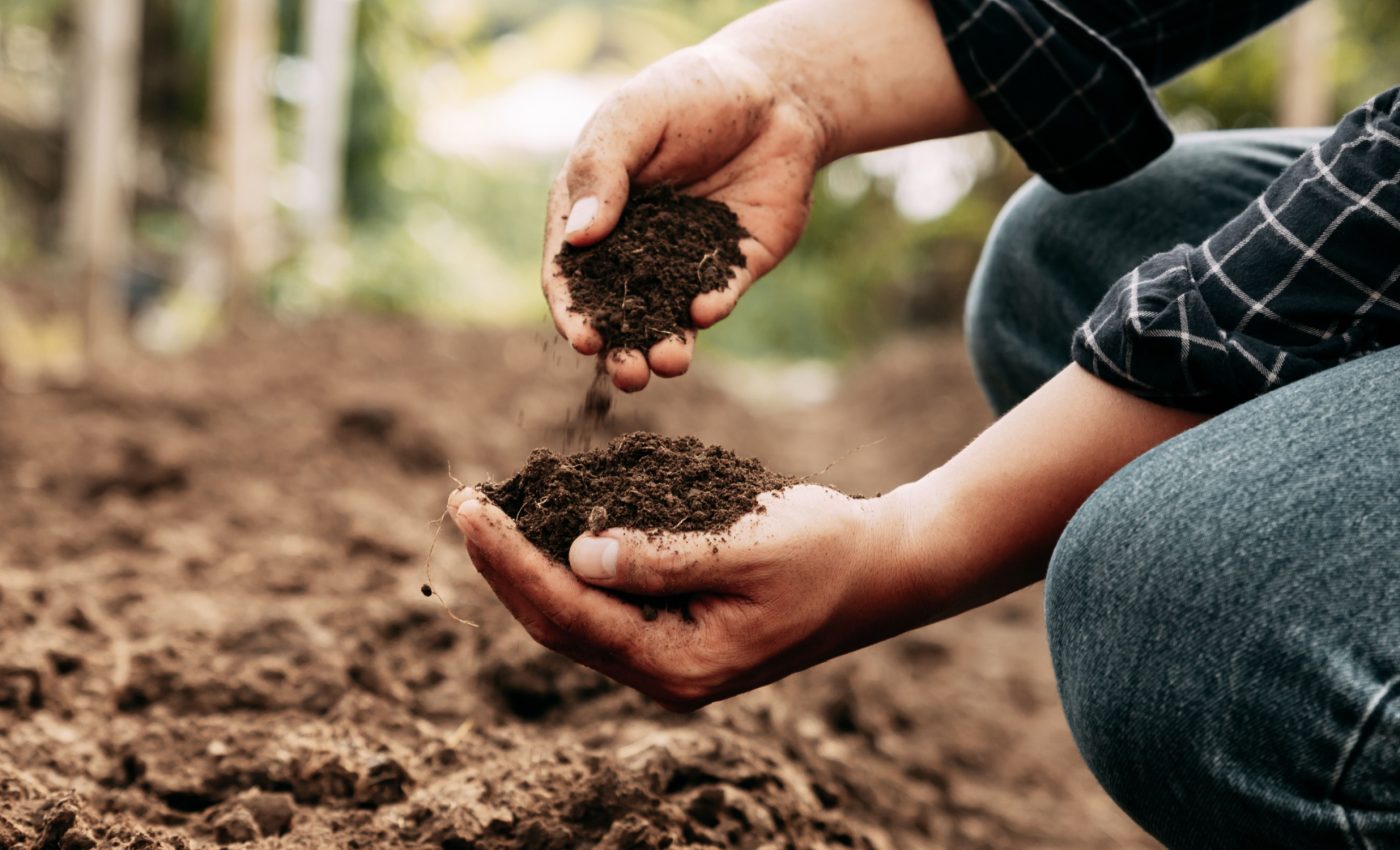 Nitrous oxide emissions erupt from farms in unpredictable bursts