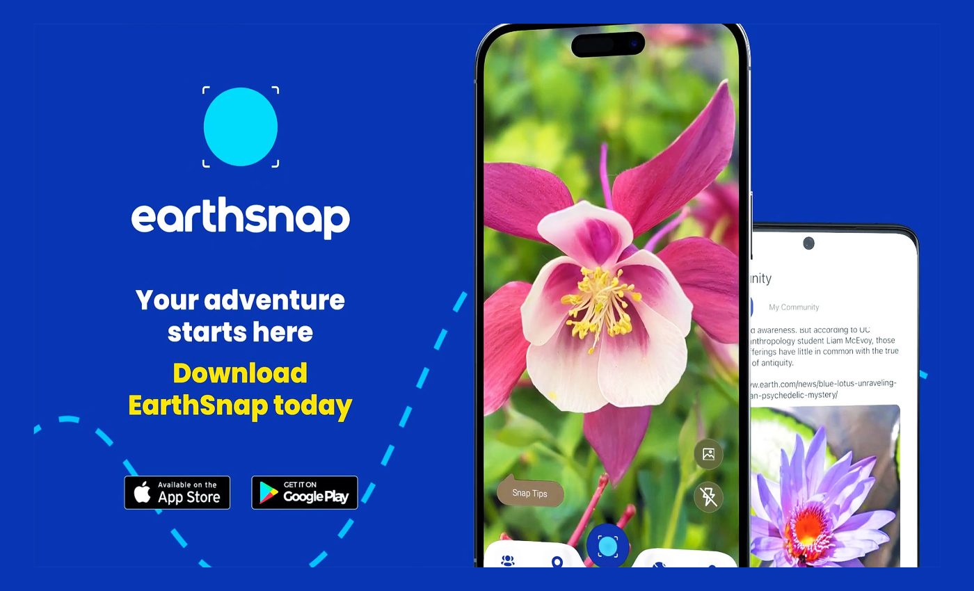 Nature enthusiasts are flocking to EarthSnap for plant and animal ID