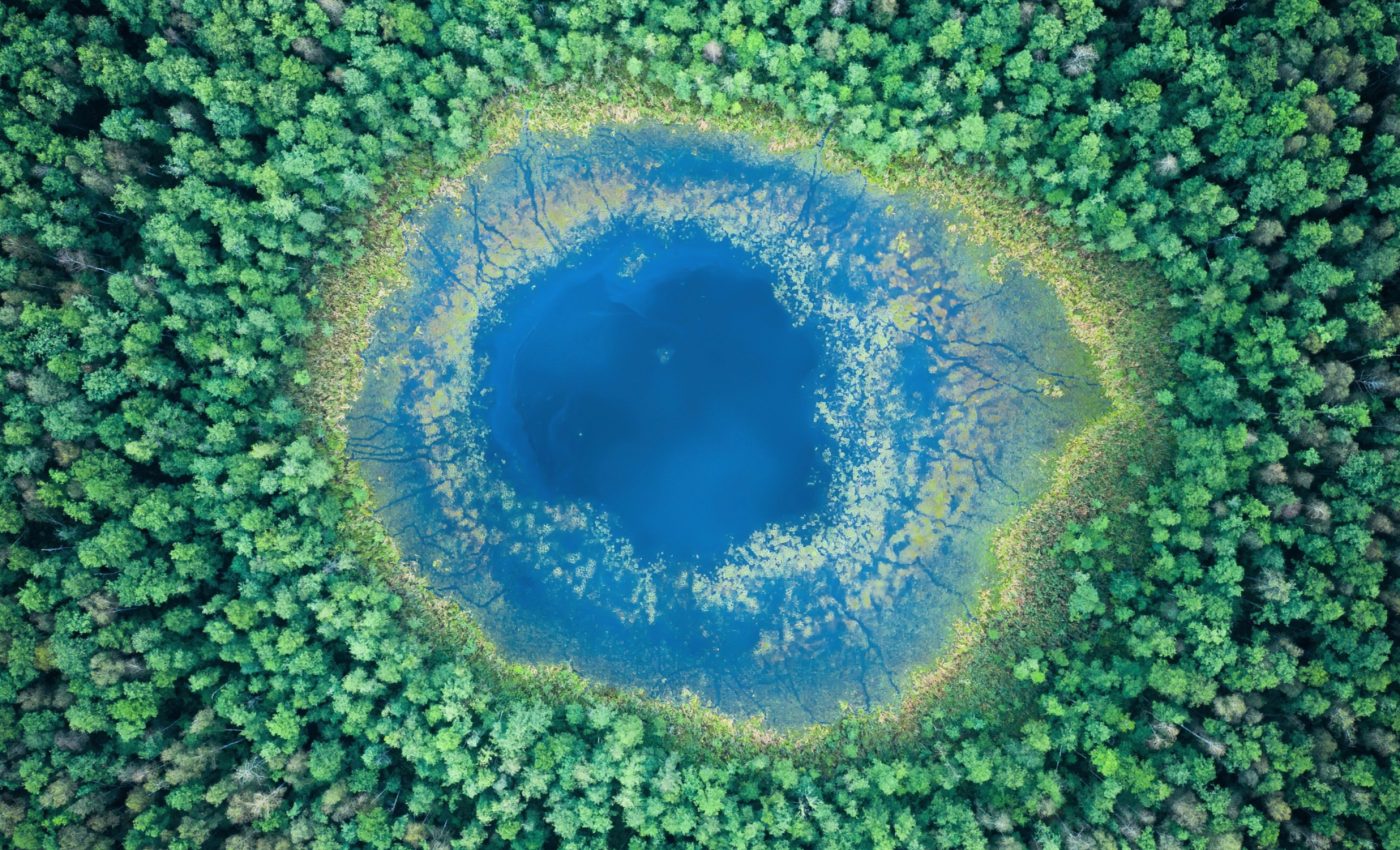 How Earth got its water: Meteorite reveals surprising new clues