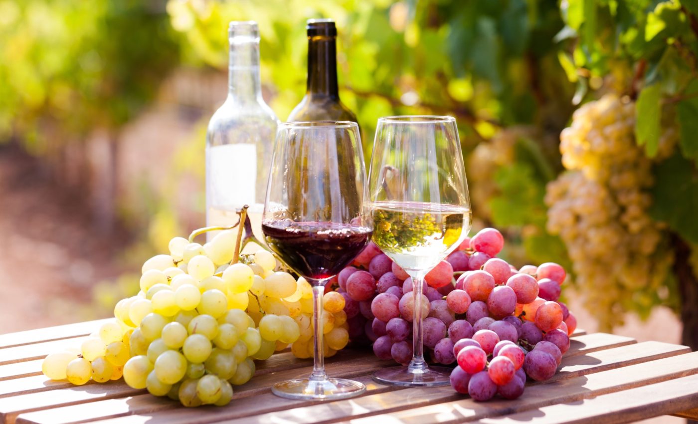 How grapes became wine in Italy over 7,000 years