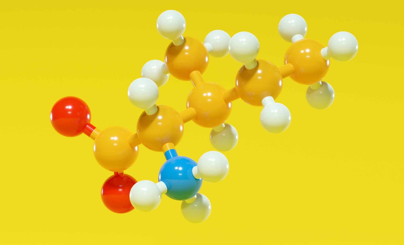 Reducing isoleucine is the key to a 33% longer life