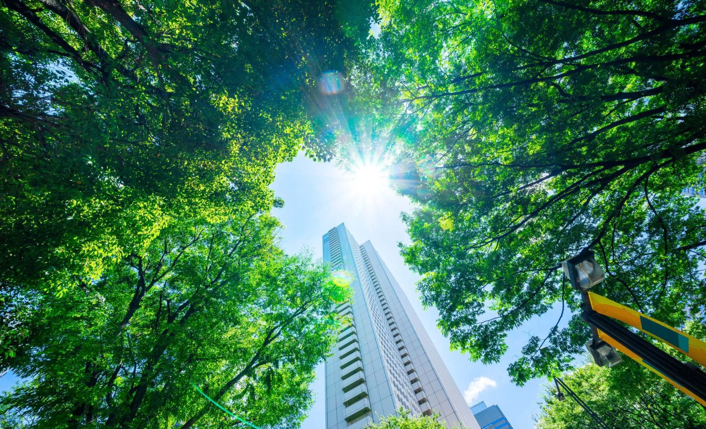 Diverse trees reduce heat and promote healthy aging in urban areas