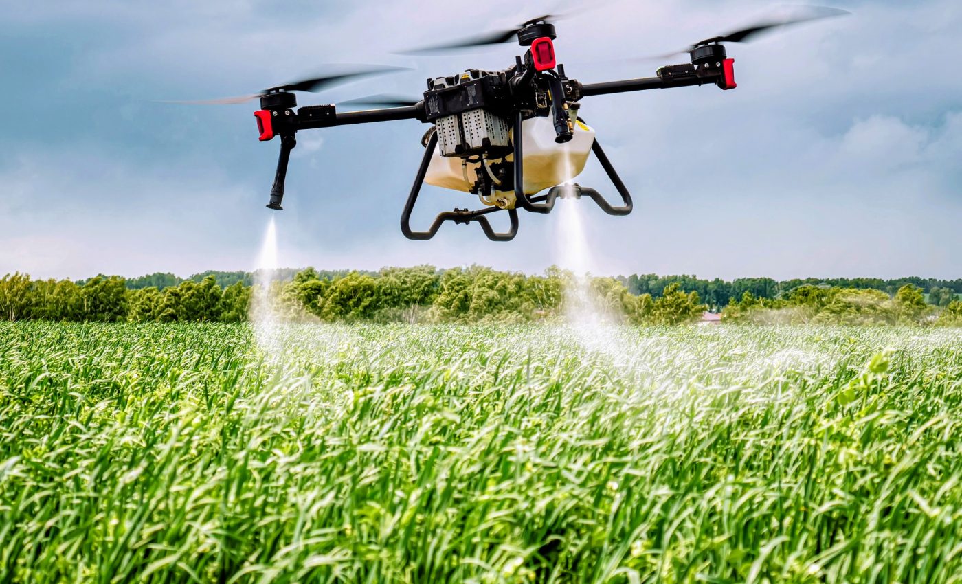 Modern farming is causing many insect species to collapse