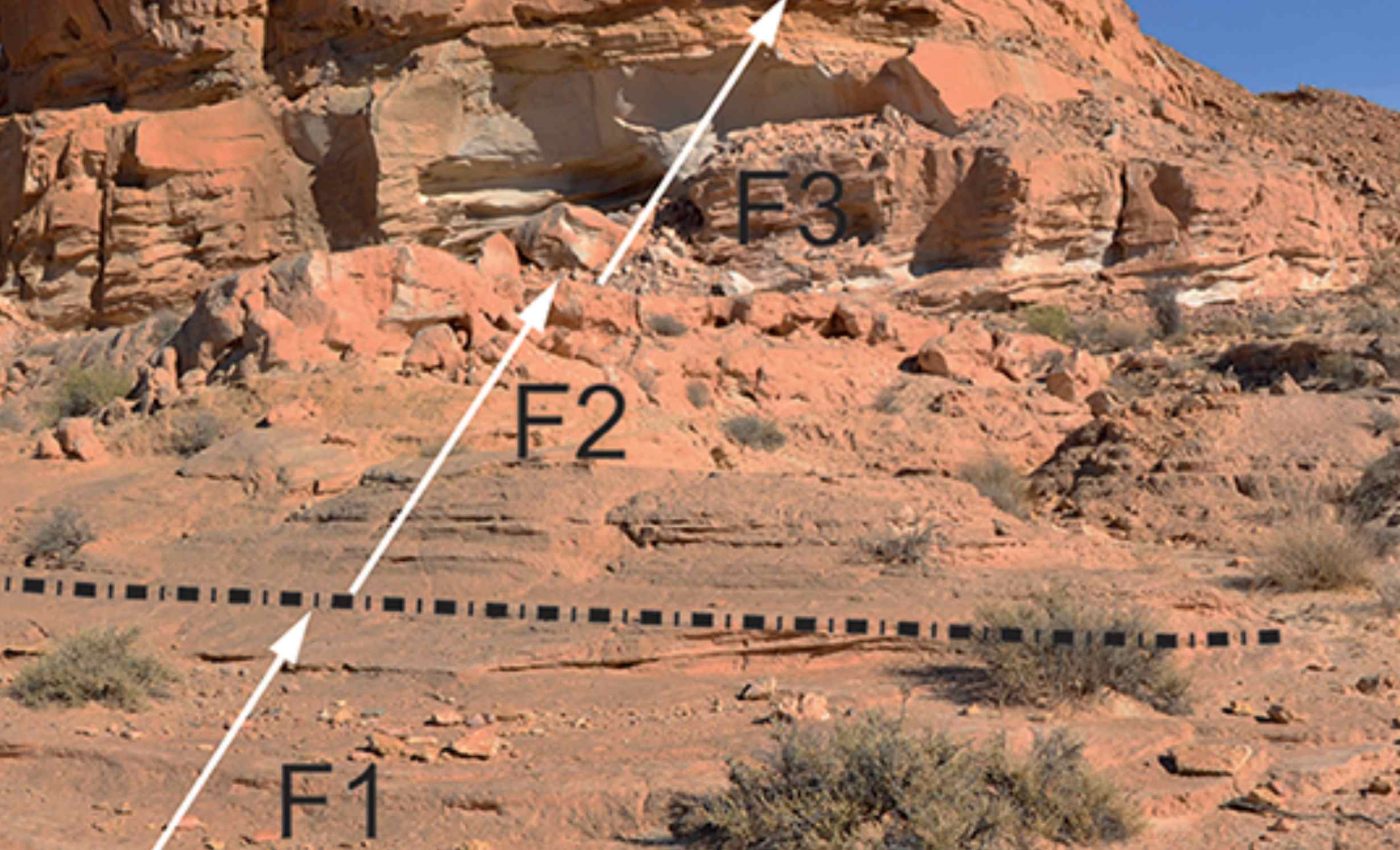 The oldest known rebbachisaur has been found, dating back 94 million years