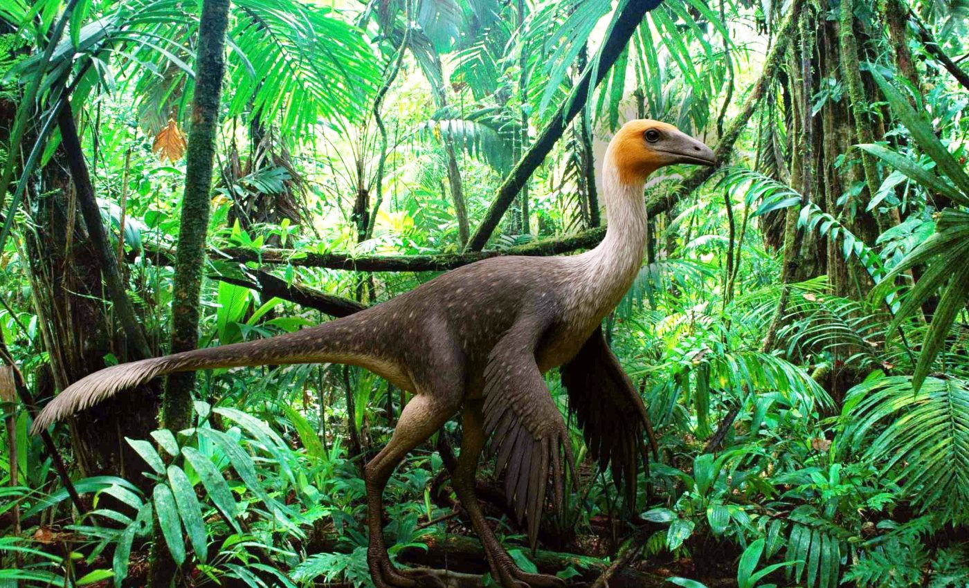 Discovery of a Cretaceous 'ostrich' with extremely long arms opens new dinosaur debate
