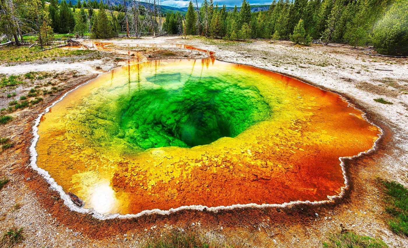 Giant viruses found in Yellowstone's hot springs may be near the root of all life on Earth