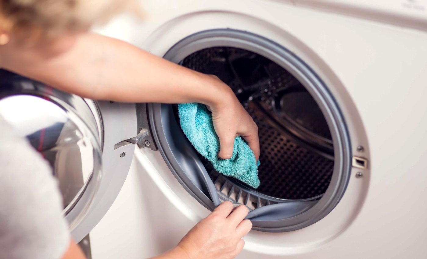 Slime found in home appliances could help fight climate change