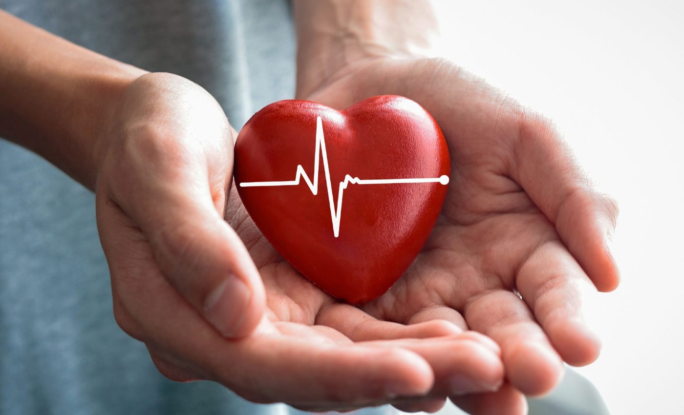 Men and women have different heart rhythms, and now we know why