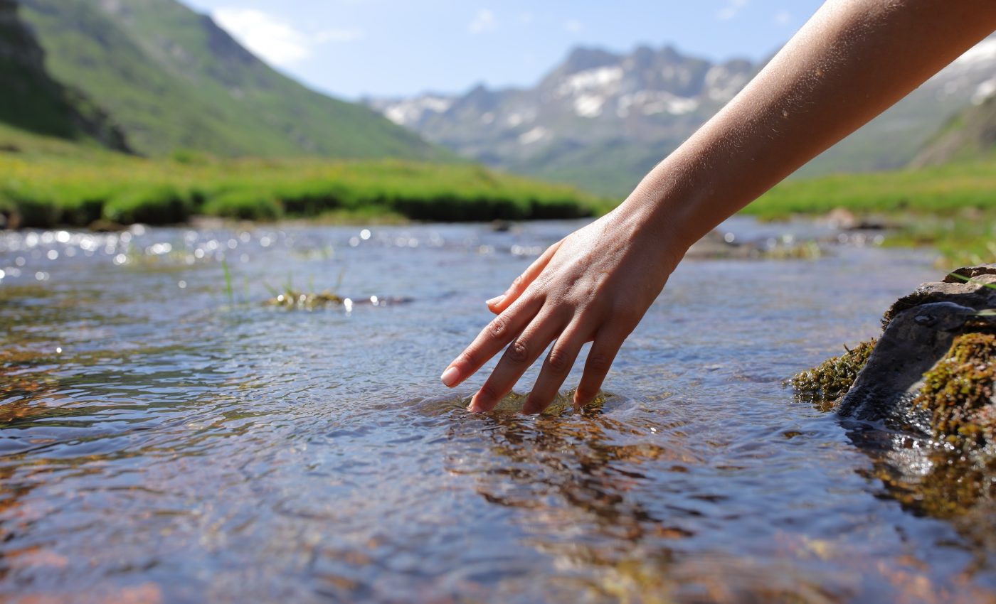 Scientists discover a brain region that connects all the senses