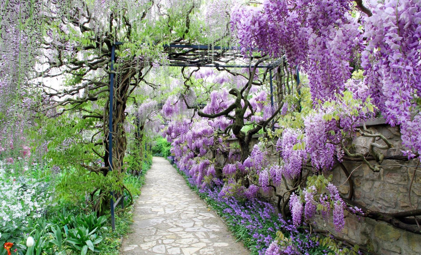 Why some gardens are more calming than others