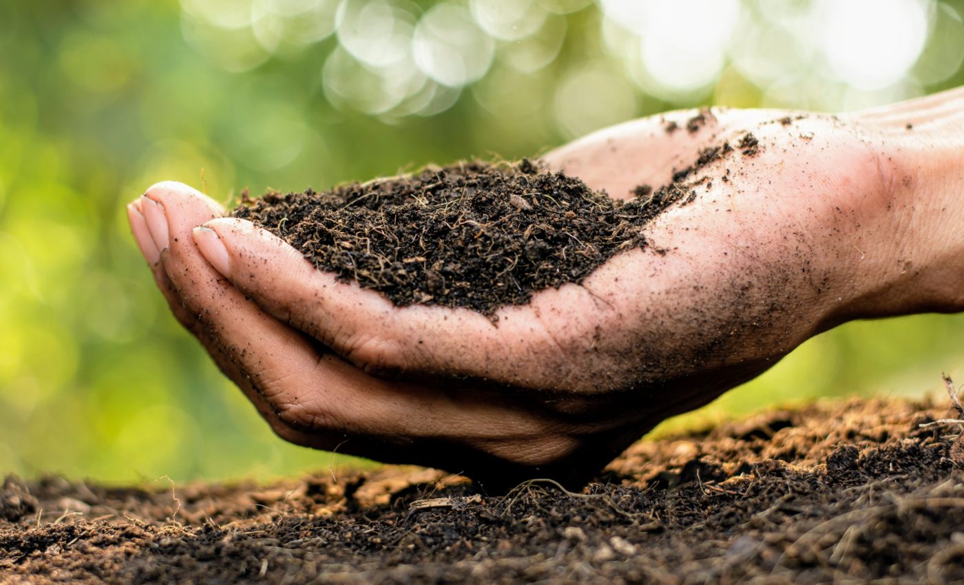 Global warming may trigger rapid release of soil carbon