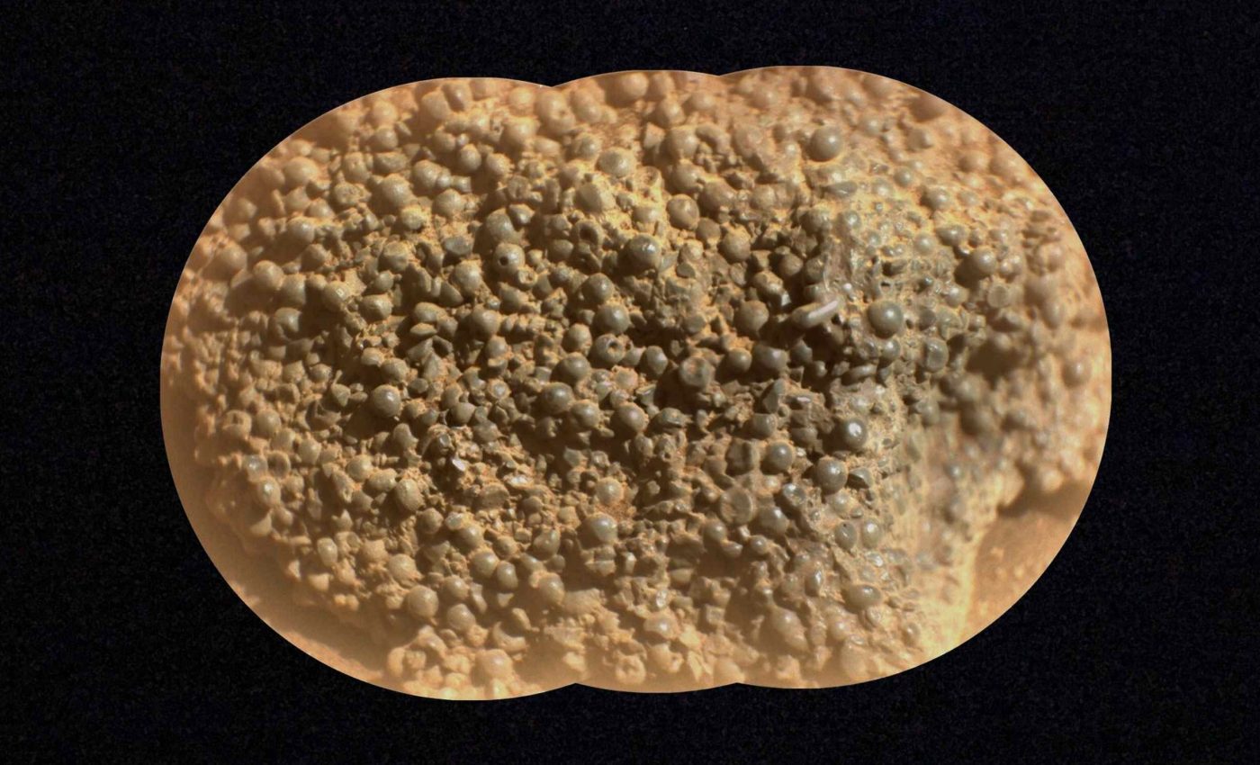 Martian rock looks like a nest of spider eggs