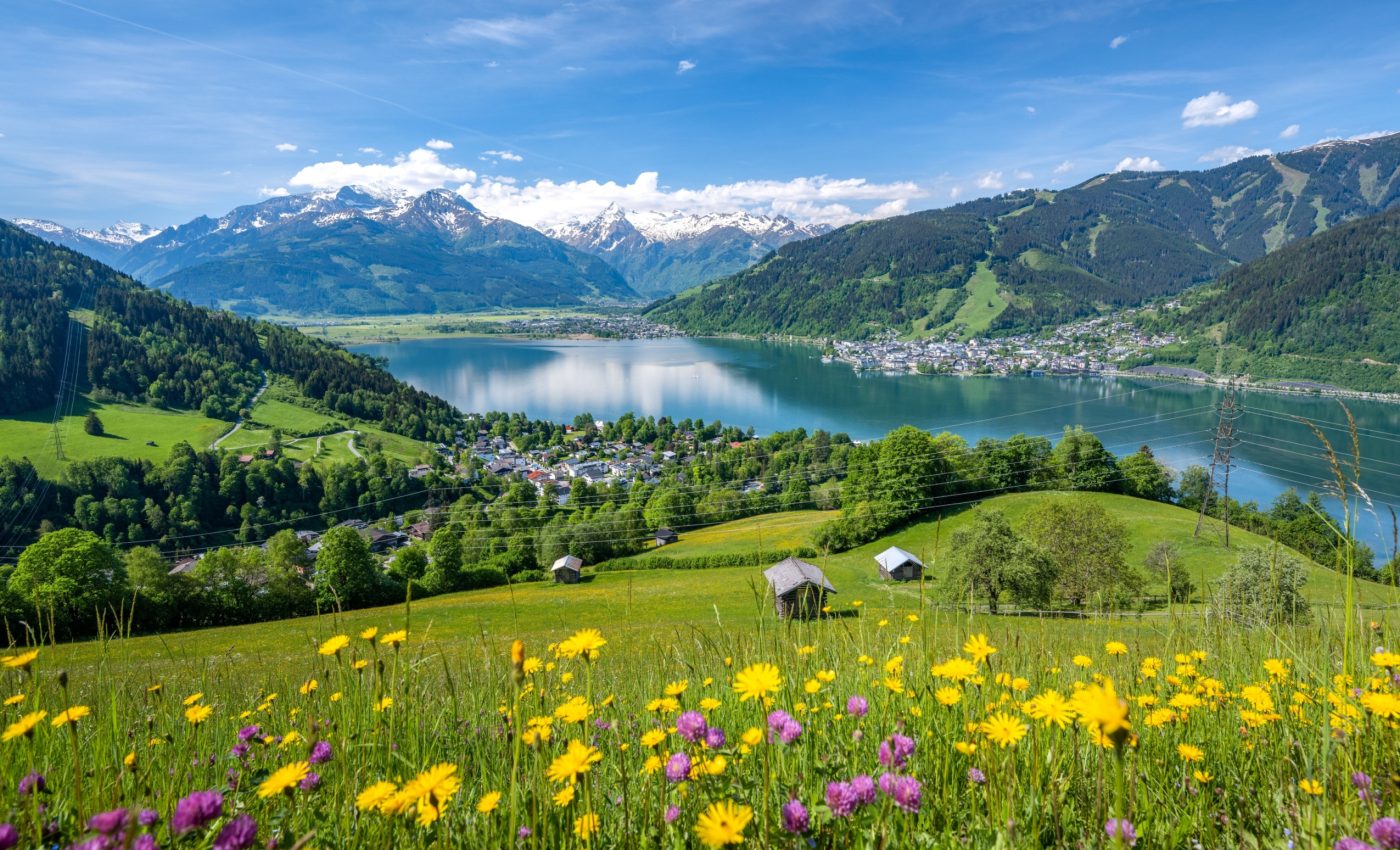 Alpine spring begins earlier, speeding up plant growth