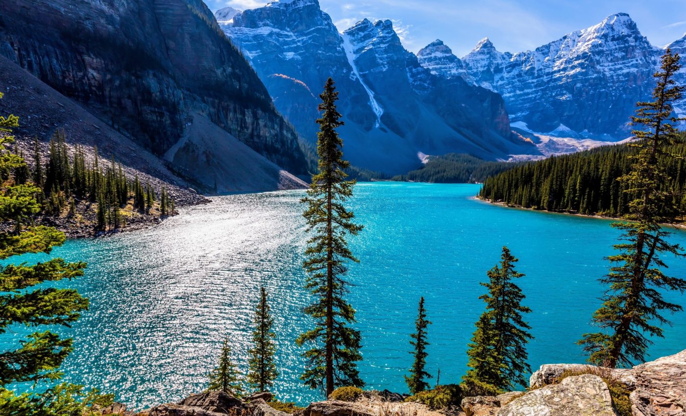 Melting glaciers are putting many unique ecosystems at risk