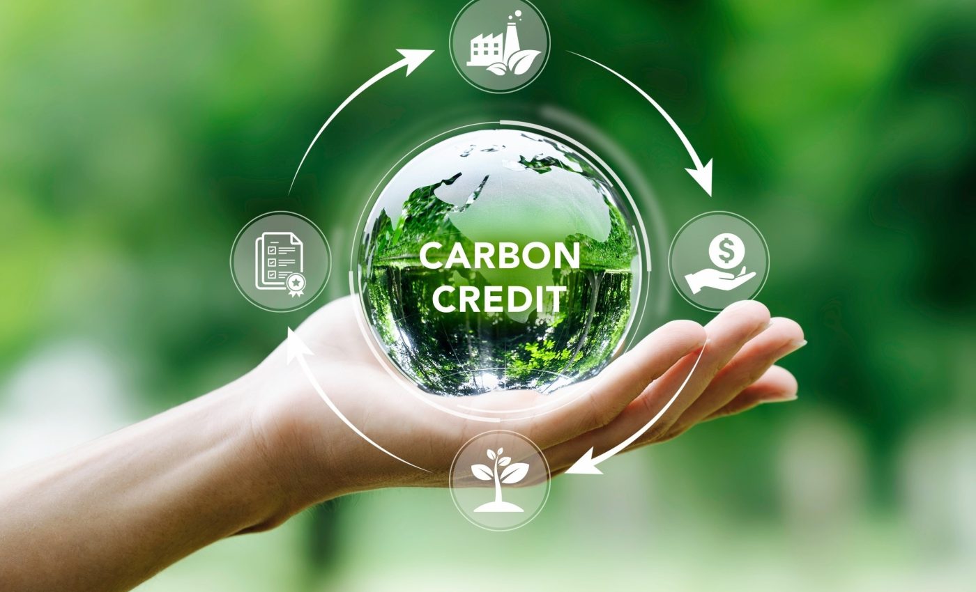 Forest carbon credits are failing, so what needs to change?