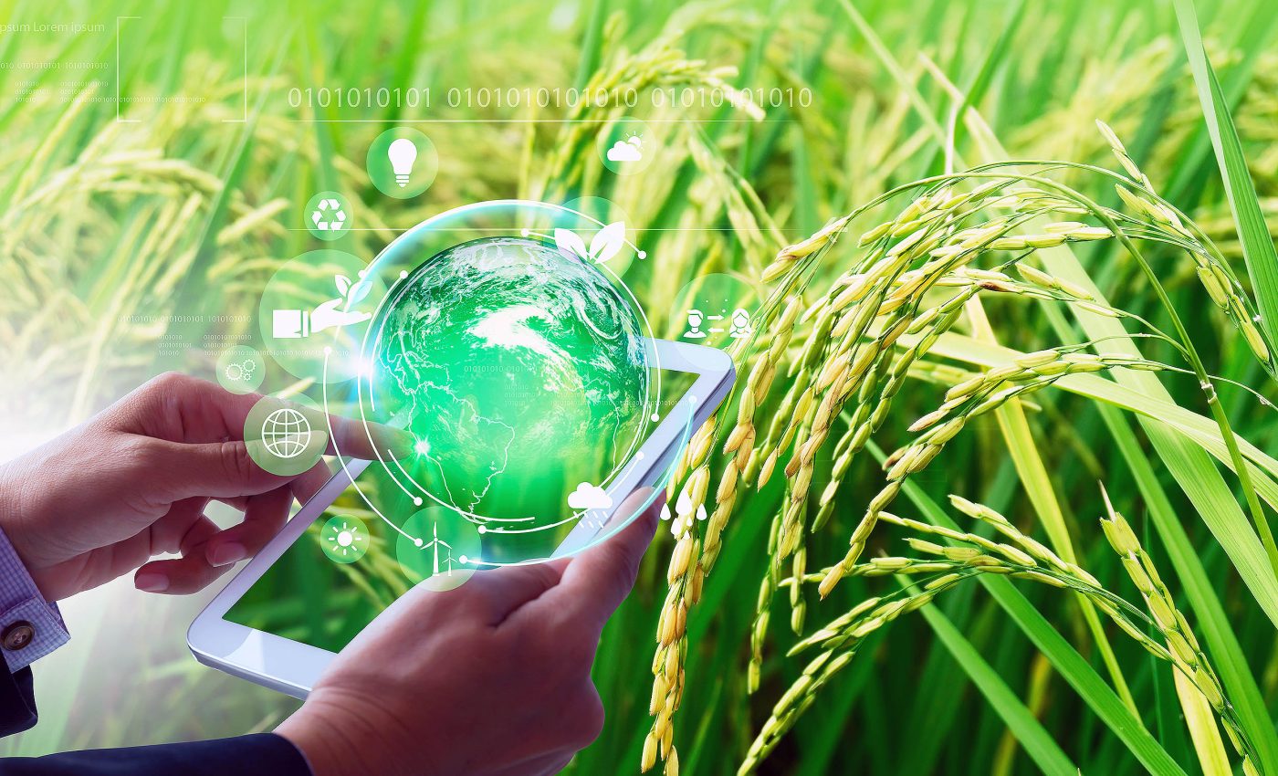 Delicate balance between what nature provides and what humanity consumes is under threat