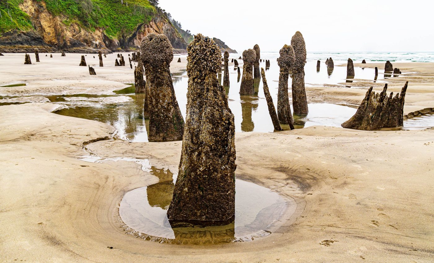 Most dangerous part of this U.S. earthquake fault identified as "one of Earth's biggest hazards"