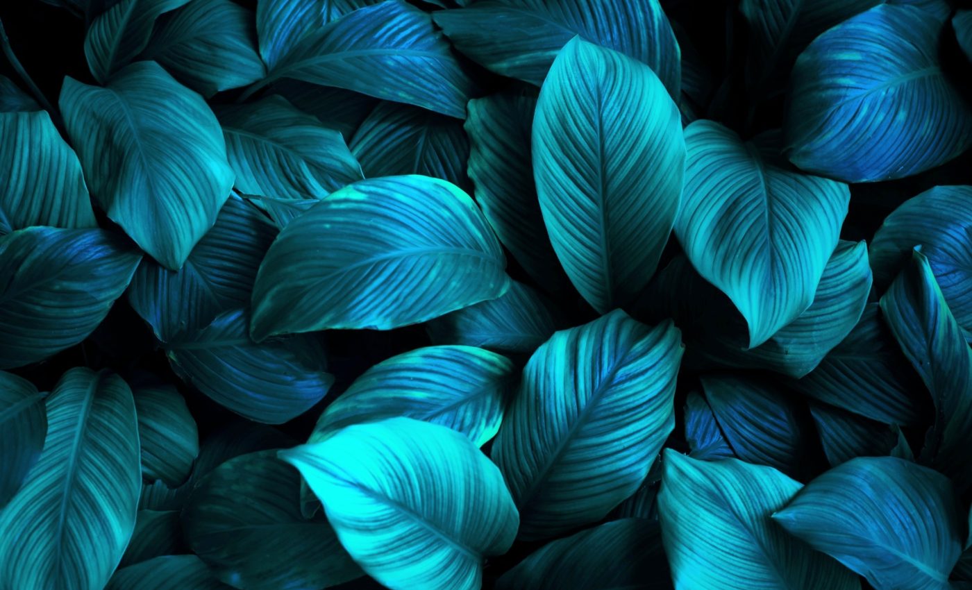 All living things emit a subtle glow that ceases at the time of death