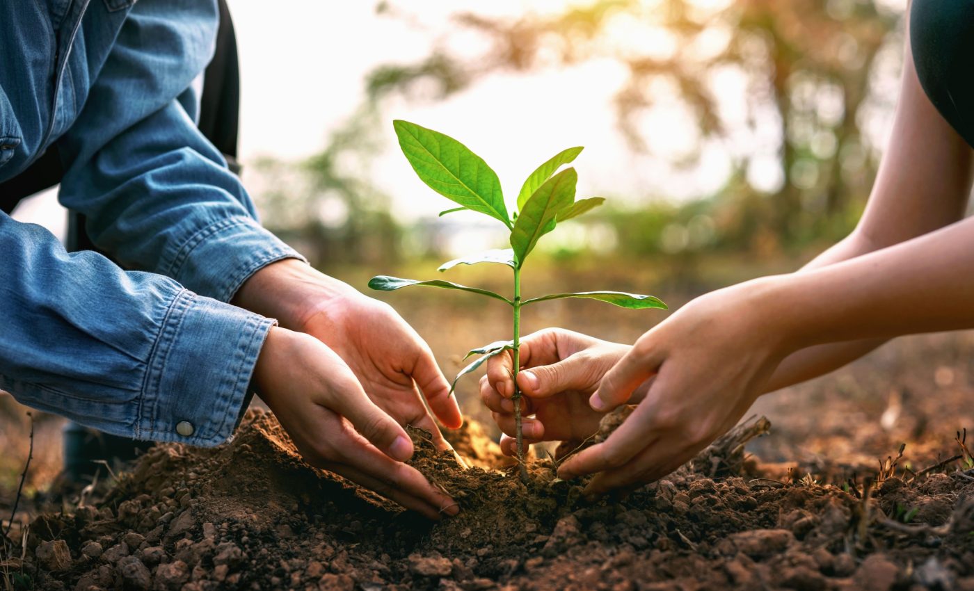 Mutual relationships with nature offer hope for a sustainable future