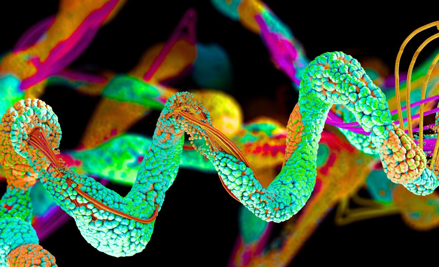 New shape-shifting proteins open doors in medicine and farming