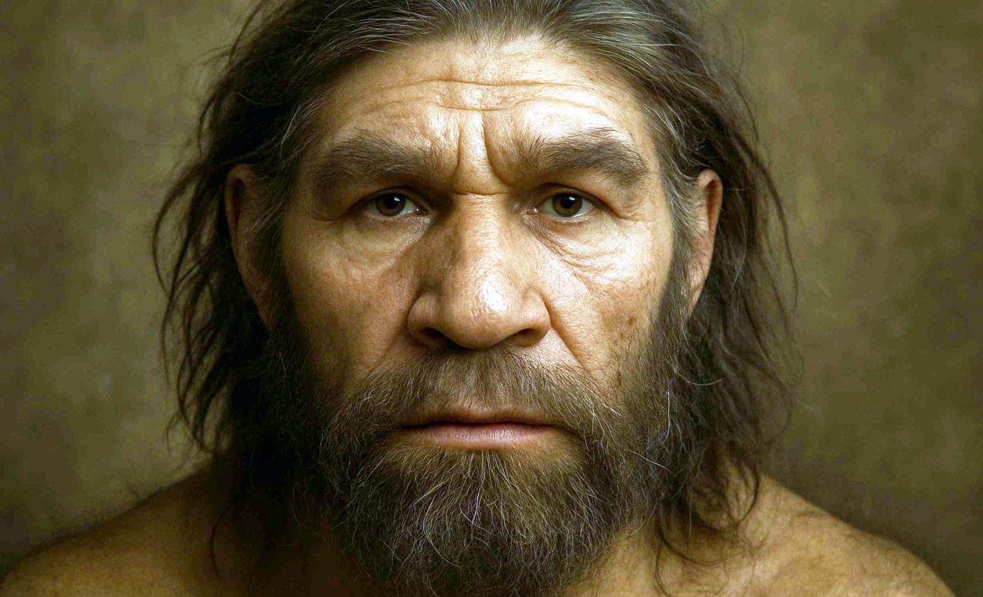 Inner ears of Neanderthals reveal catastrophic event that happened during their evolution