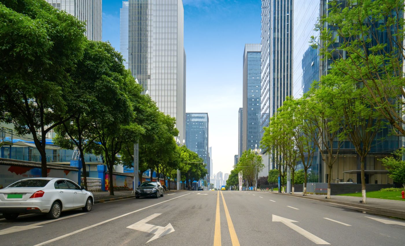 Alarming loss of urban greenery revealed in new models