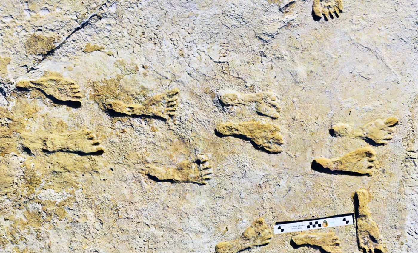 Archaeologists discovered ancient footprints in New Mexico that rewrite the story of humans in America