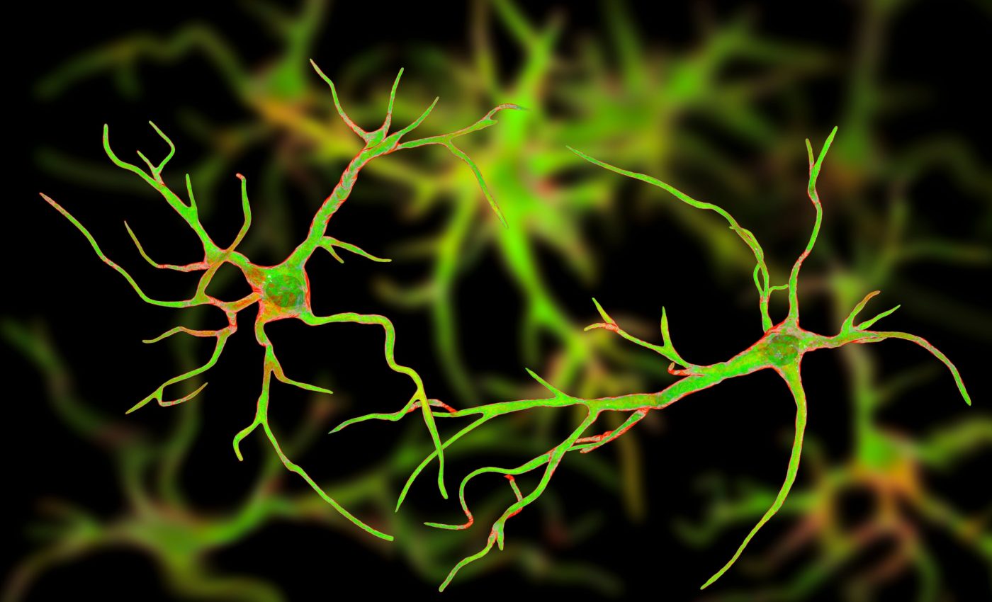 Scientists think they've learned how the human brain is able to store so much information