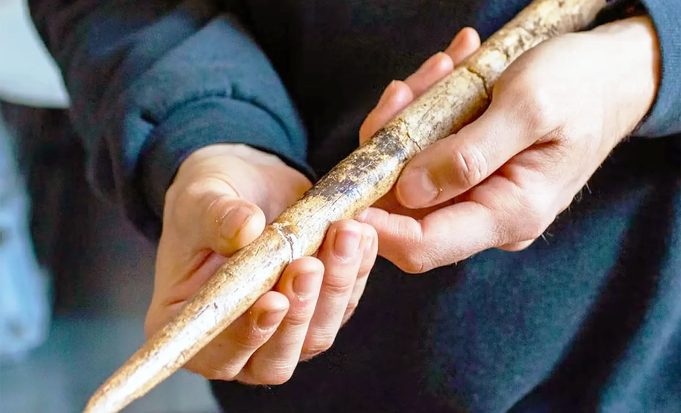 Scientists identify time and location of first humans who made tools and harpoons out of whale bones