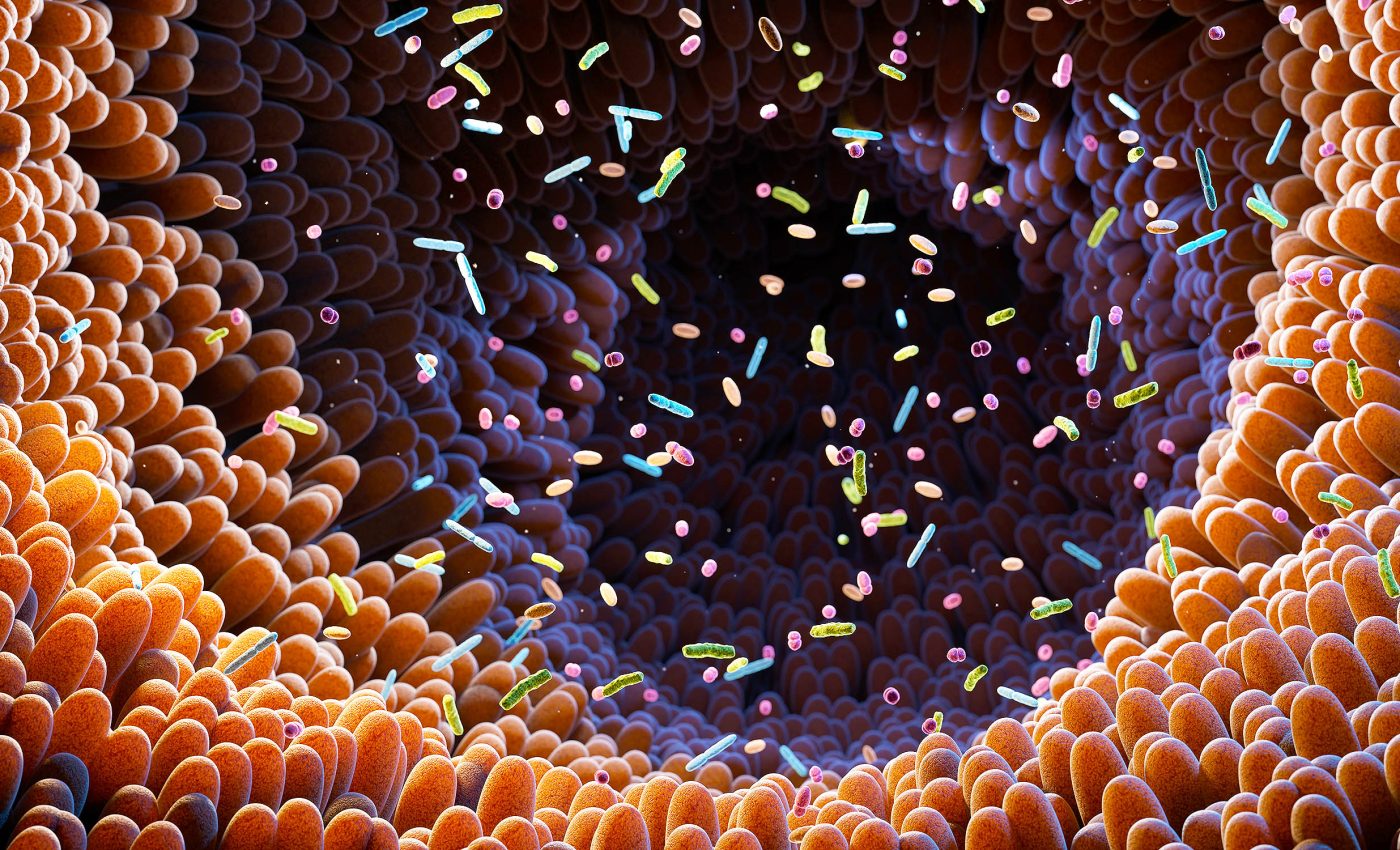 Scientists find link between obesity, anxiety, and gut microbiome changes