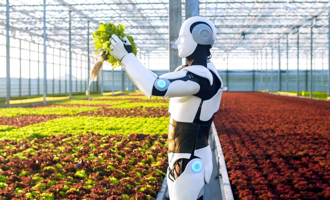 AI deciphers plant DNA - a breakthrough that will transform agriculture