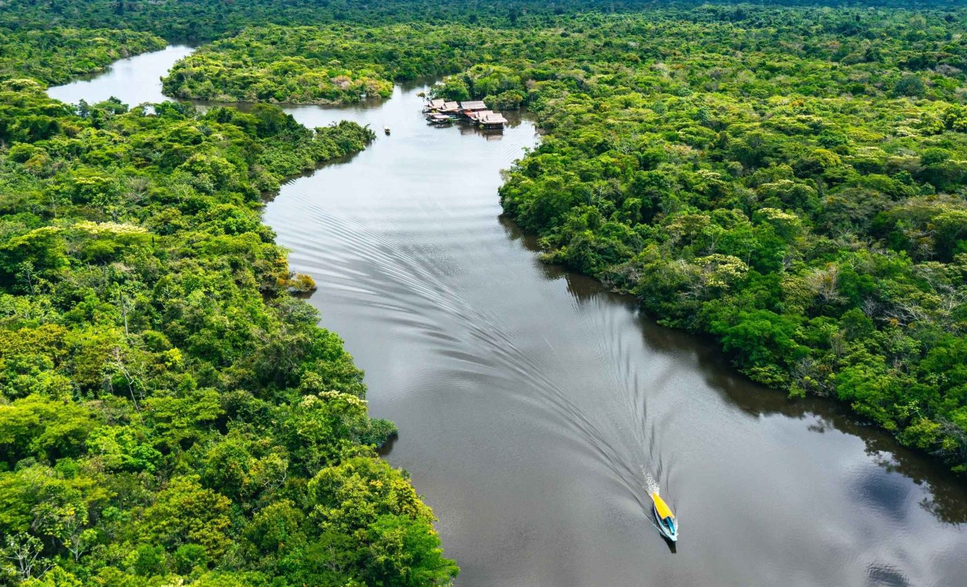 Dry spells weaken the Amazon's ability to store carbon