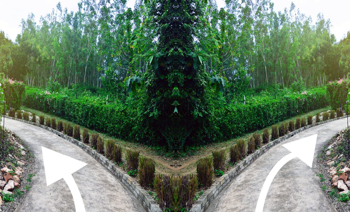 Do humans truly have free will? New quantum experiment will find the definitive answer