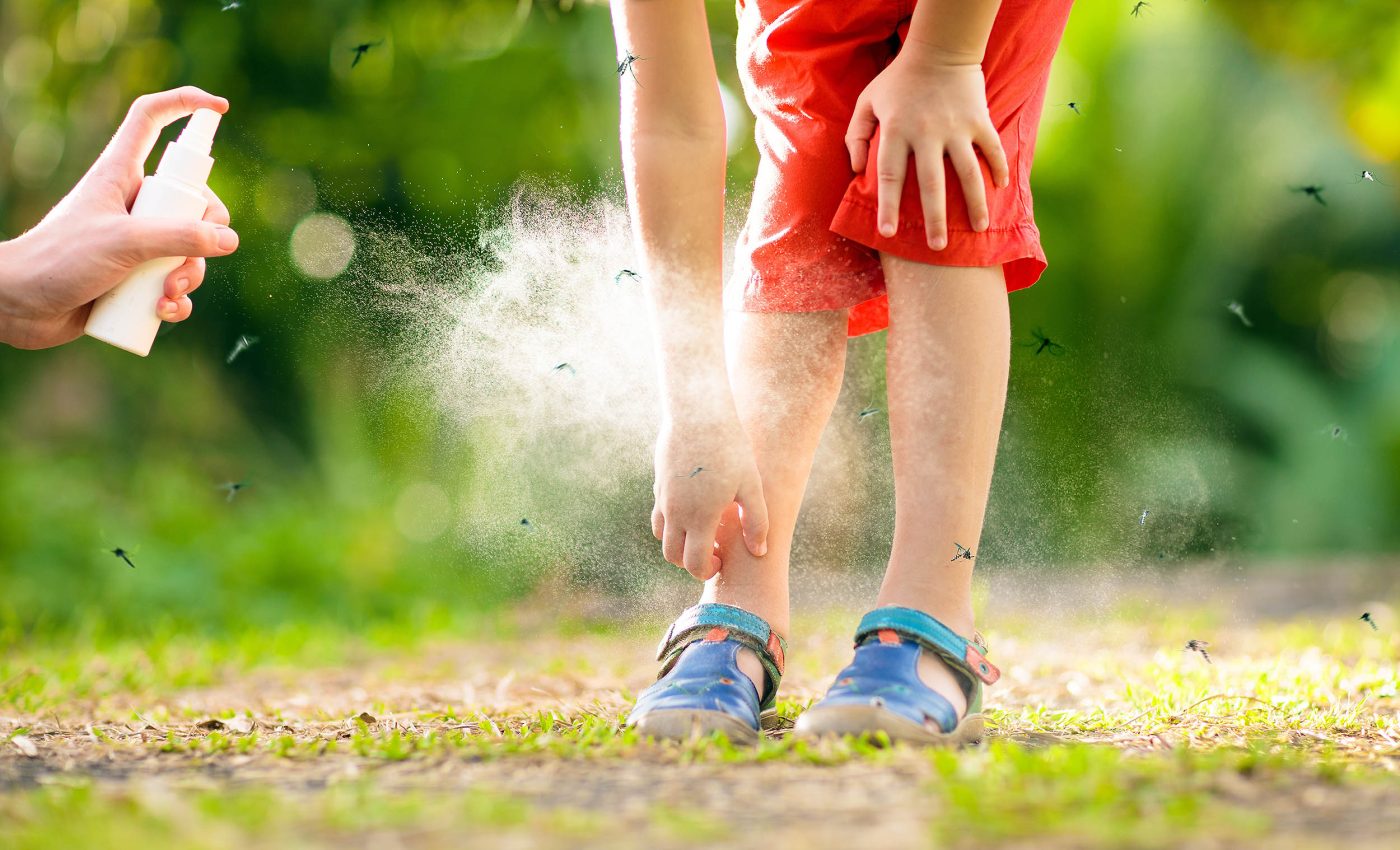 Scientists learn how mosquitoes outsmart and evade human defenses