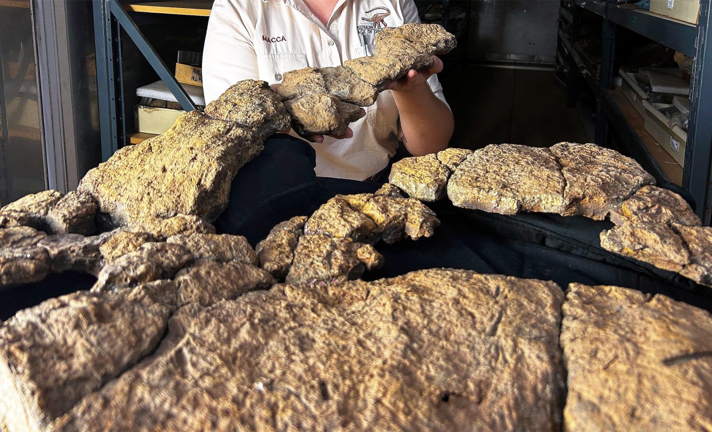 Fossilized guts reveal the eating habits of sauropod dinosaurs