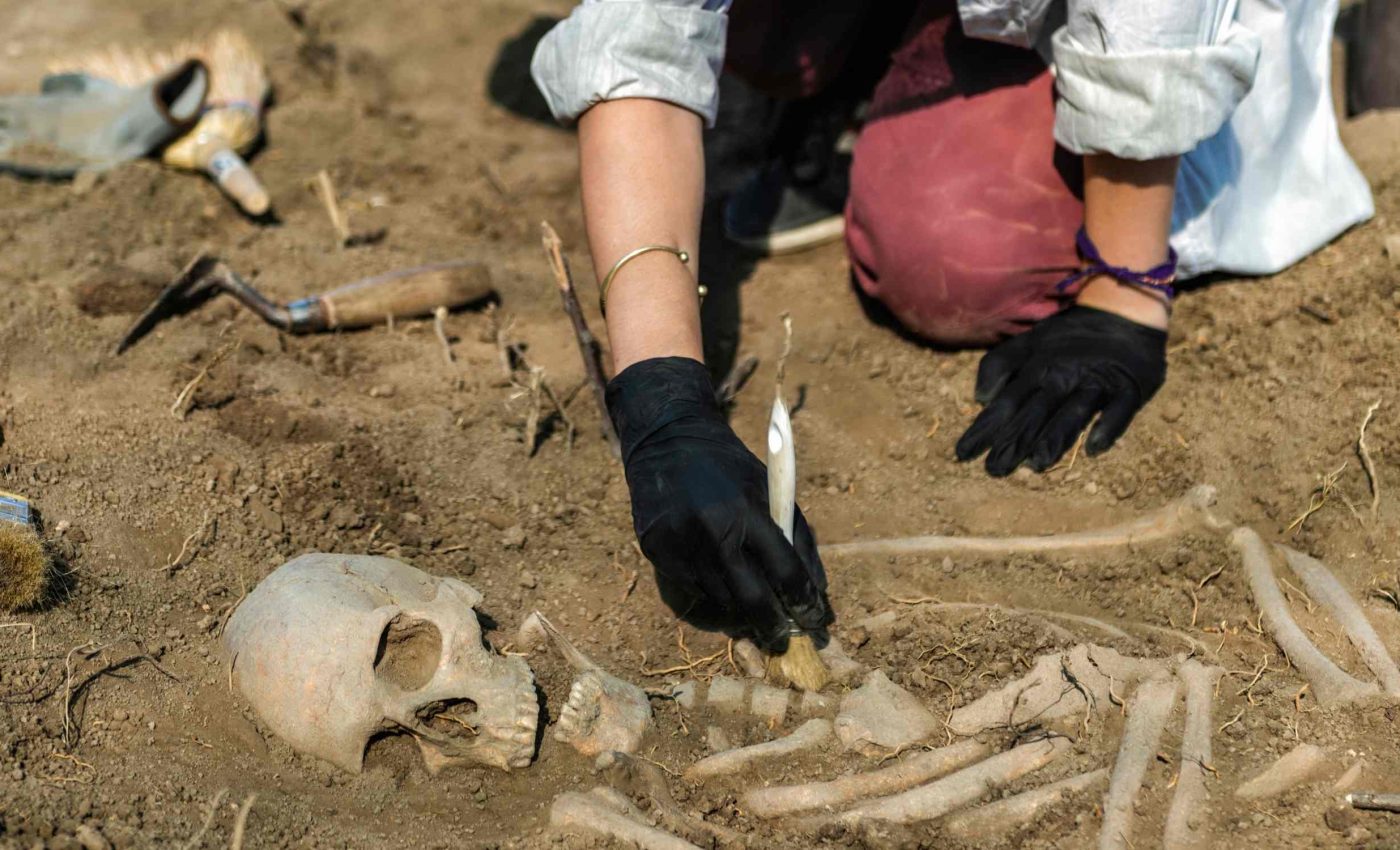 Scientists decipher the genetic history of 400 medieval skeletons