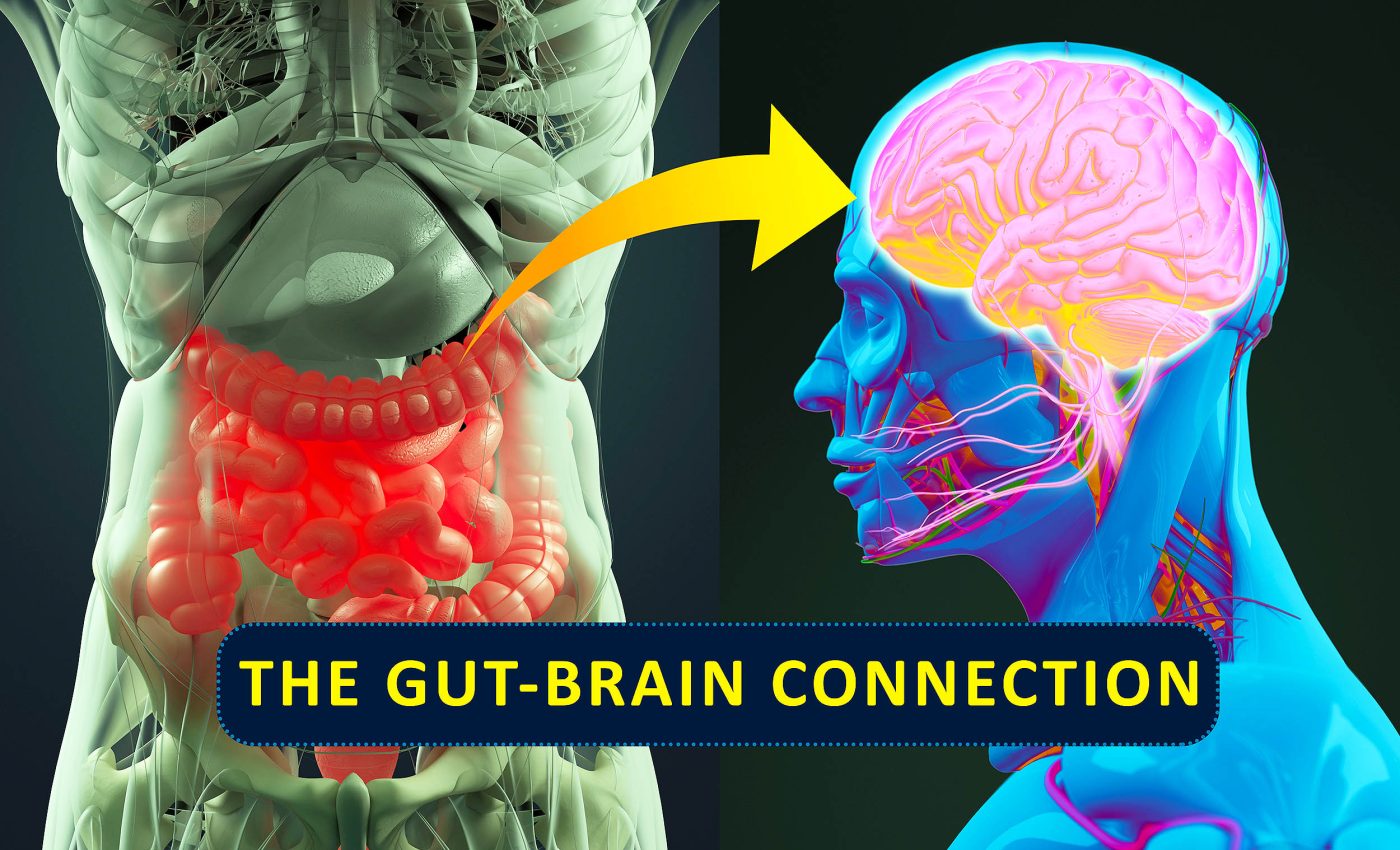 Bacteria living in your gut may cause depression, not your brain, says a new study