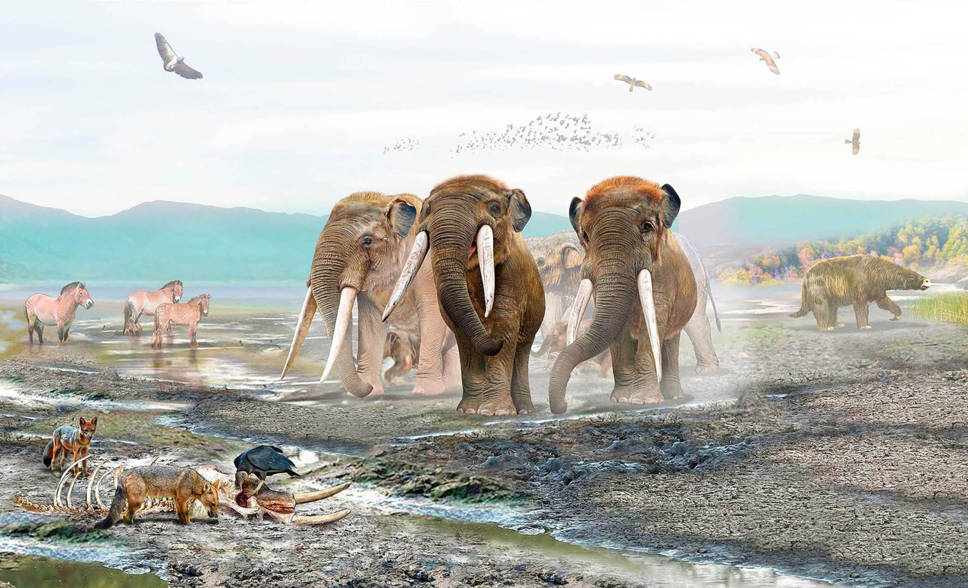 Mastodon extinction is still causing problems with South American ecosystems