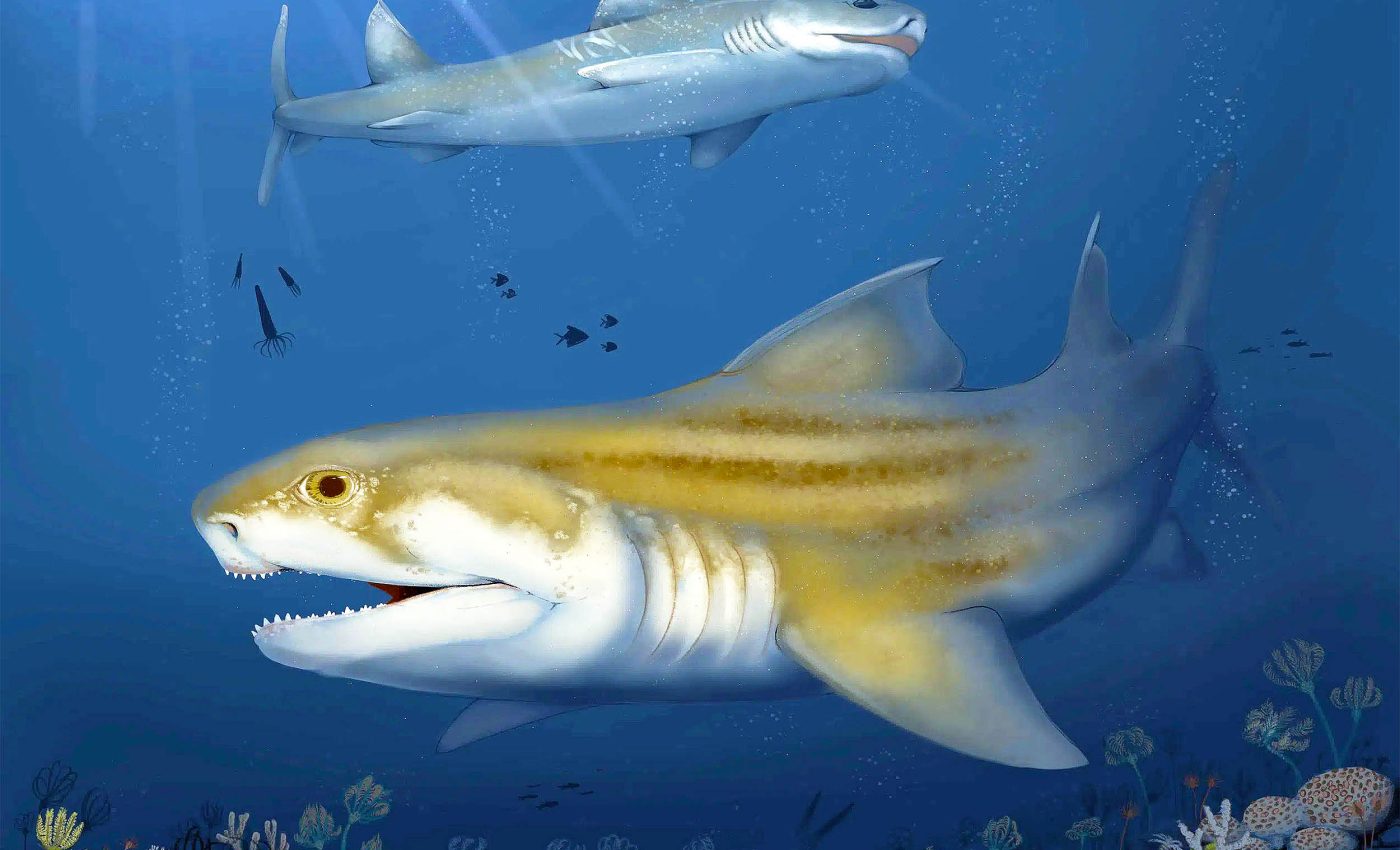 Two prehistoric sea monsters found after 325 million years in the world’s largest cave