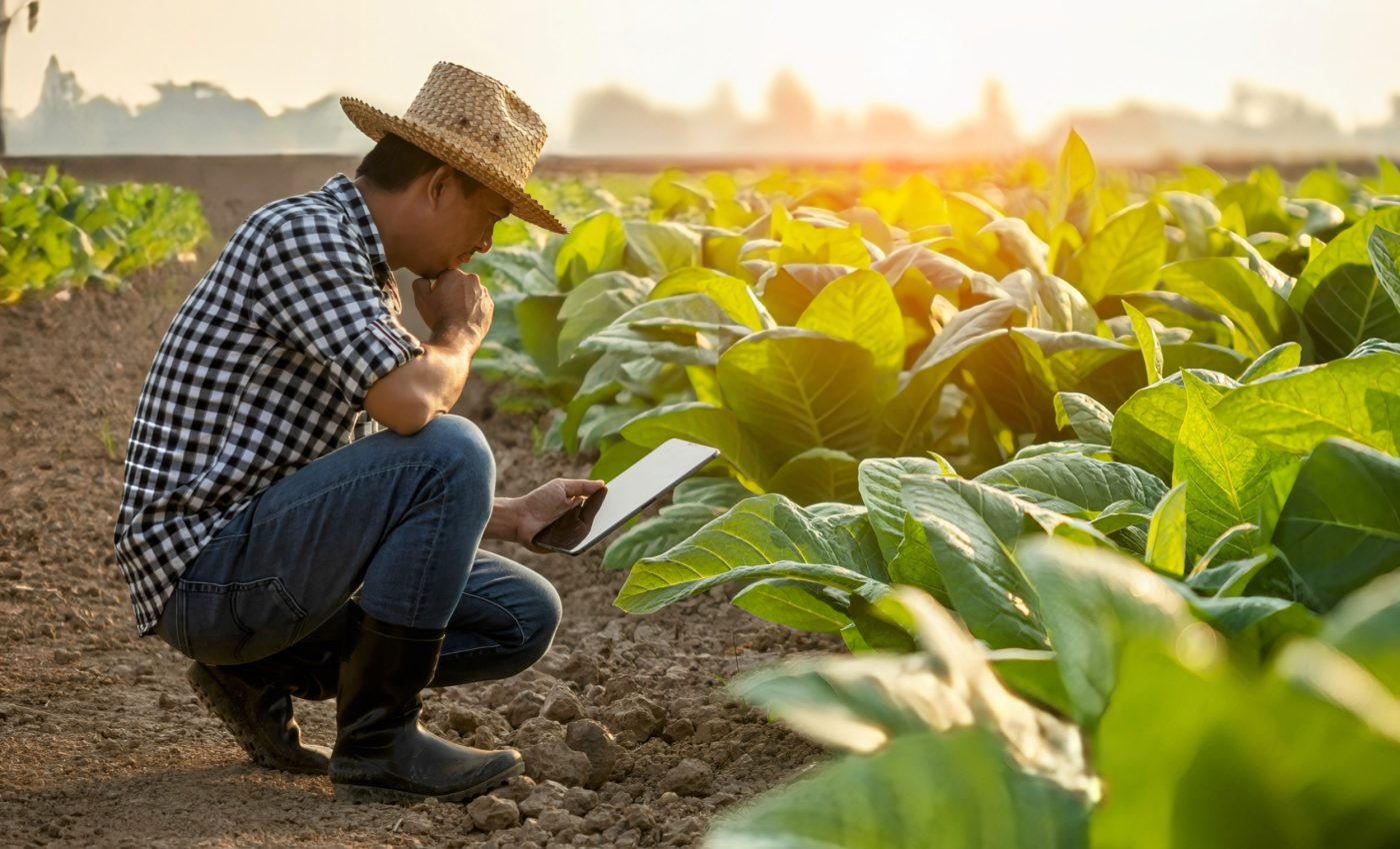 Climate change may devastate global food production