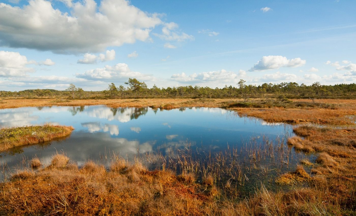 Arctic peatlands are spreading as temperatures rise