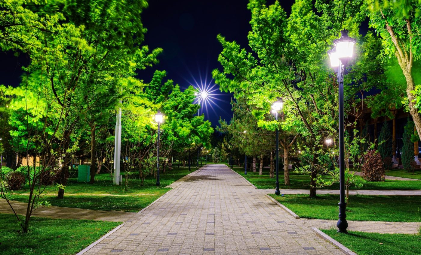 Plants that live in cities have much longer growing seasons now