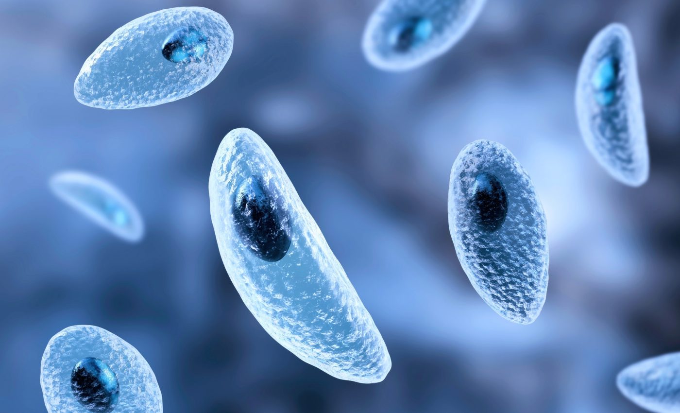 Common parasite may be affecting your brain without symptoms