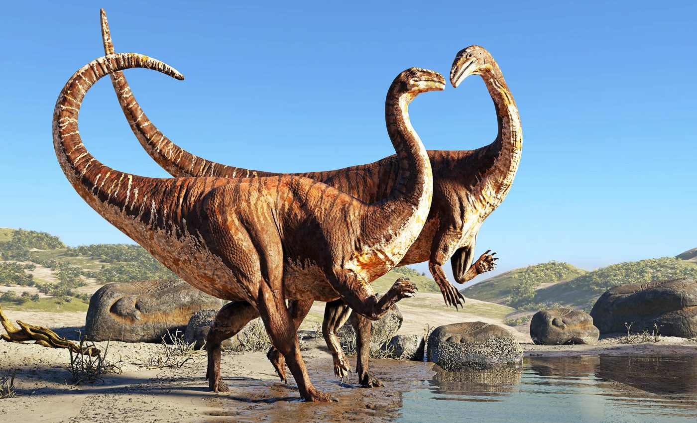 220-million-year-old Plateosaurus dinosaur died from a crippling bone infection