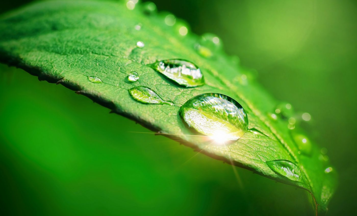 Sunlight's hidden power supercharges water evaporation