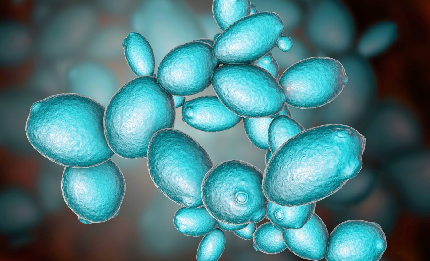 Scientists learn that caffeine could slow cellular aging under the right conditions