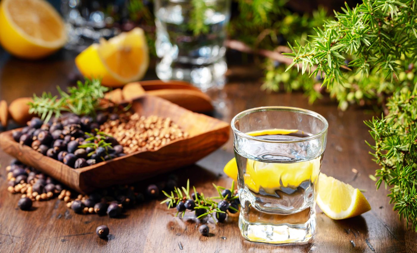 Gin will soon lose its unique flavor due to changes in juniper berries